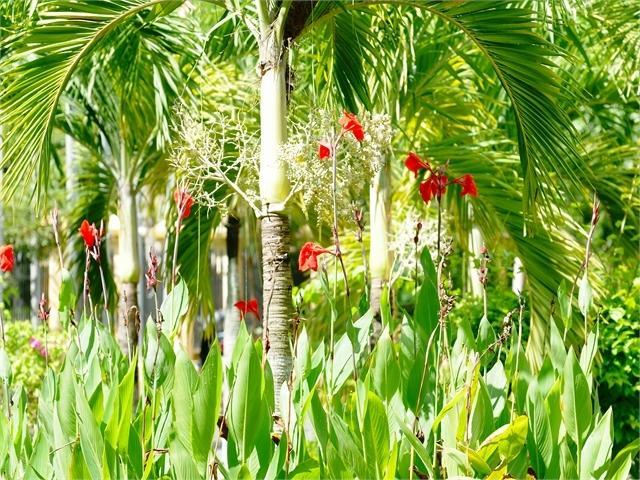 River Ray Estates Resort Loc An Bagian luar foto